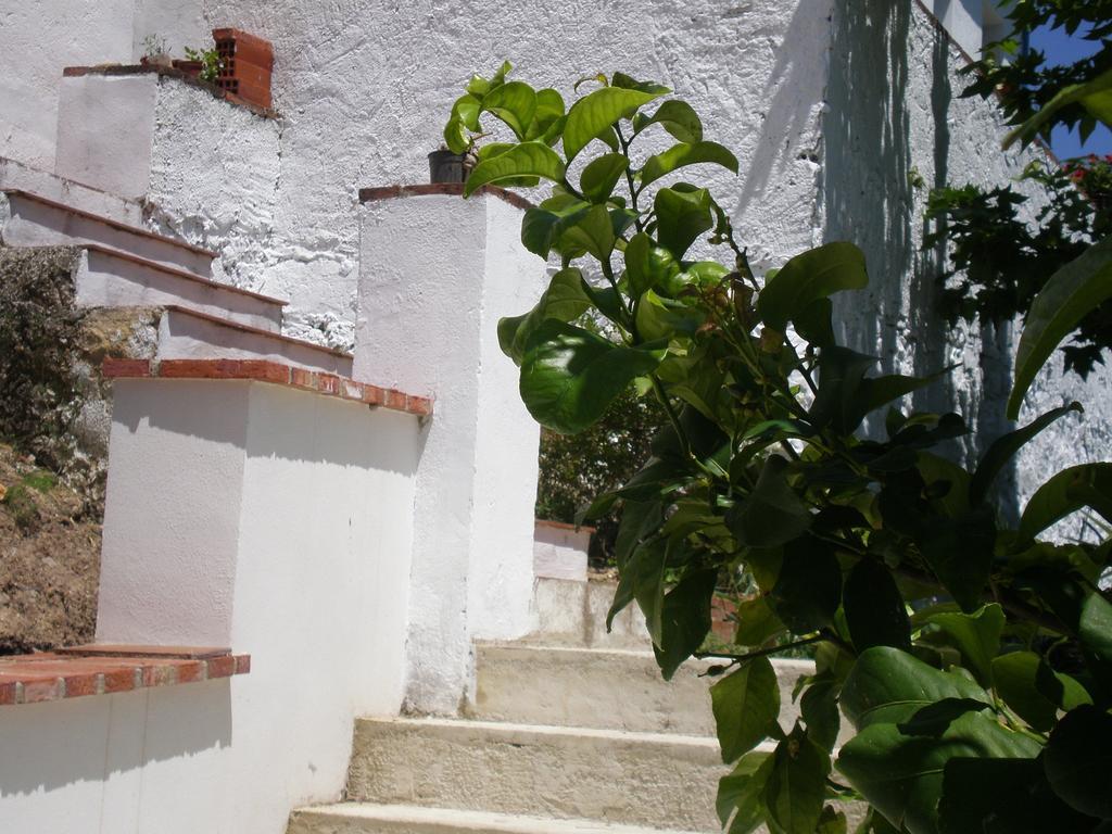 Apartamentos Rurales El Canuelo De Carcabuey Pokój zdjęcie
